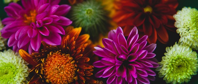 欧冠战报：孔德双响，克瑙夫破门，巴塞罗那2-1法兰克福